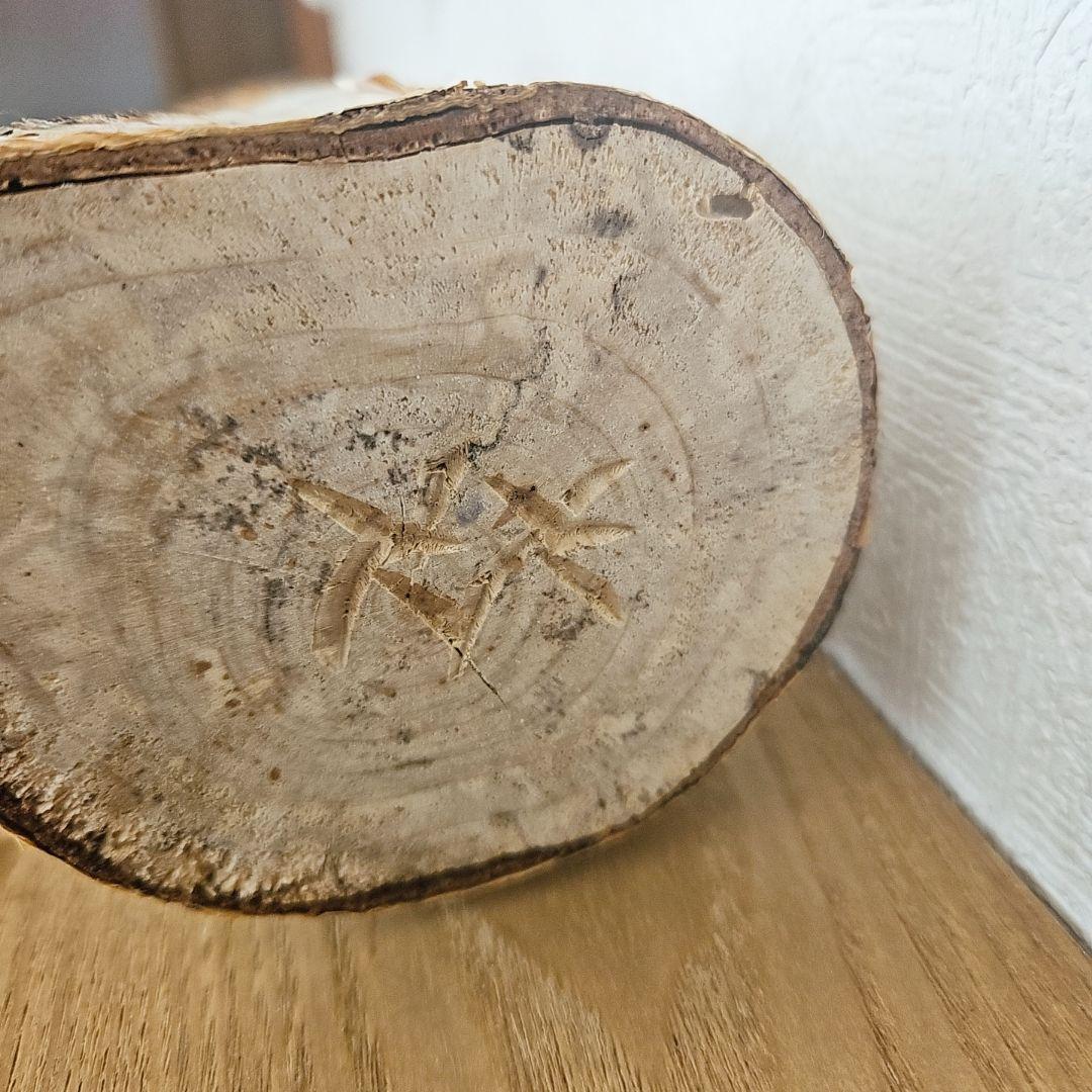 木彫りの熊　炎熊　白樺