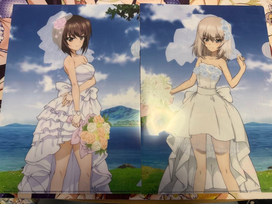 ガールズ&パンツァー あんこう祭カーテン魂購入特典 クリアファイル おまけ付き