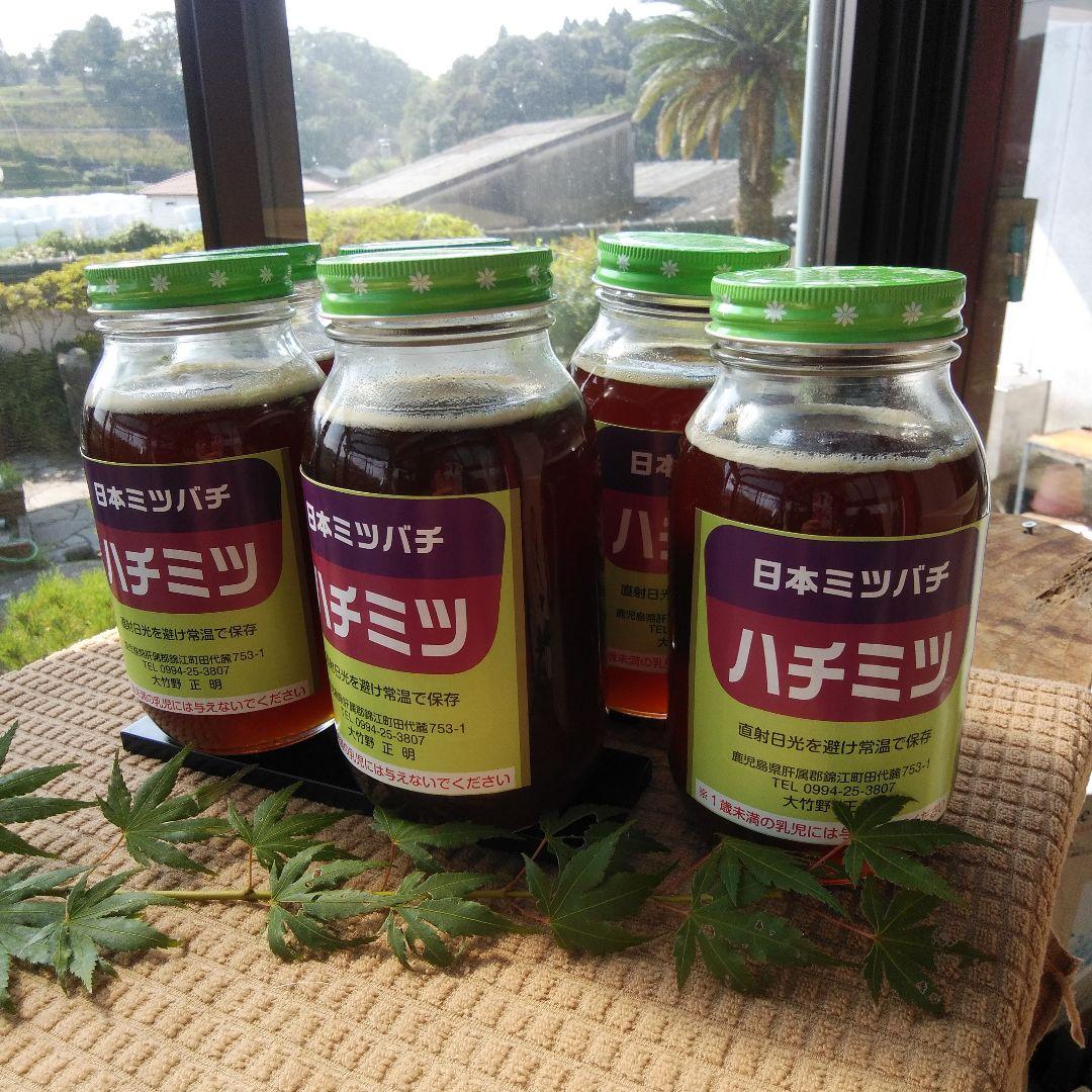 日本ミツバチのはちみつ