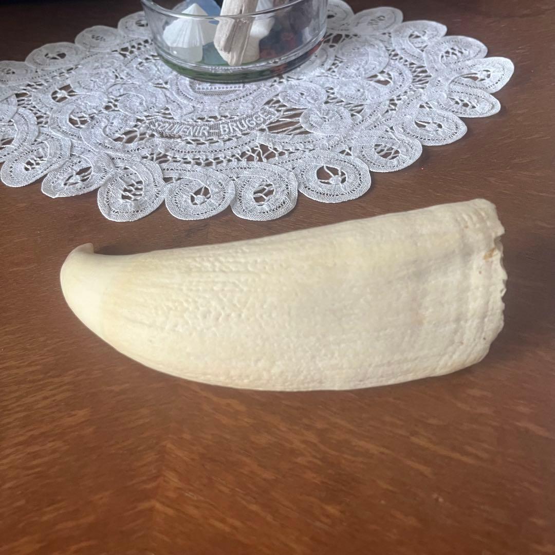 田中
