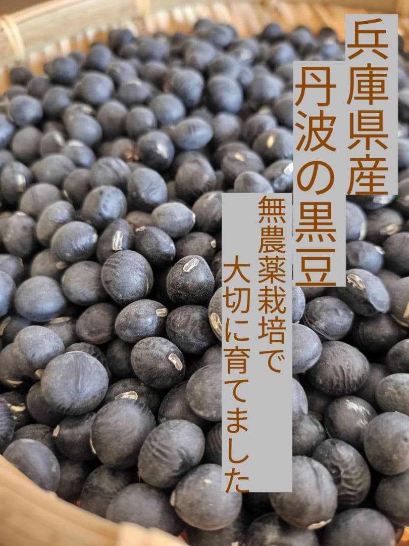 【送料無料】令和7年度産 兵庫県産 無農薬 丹波黒豆 丹波黒大豆