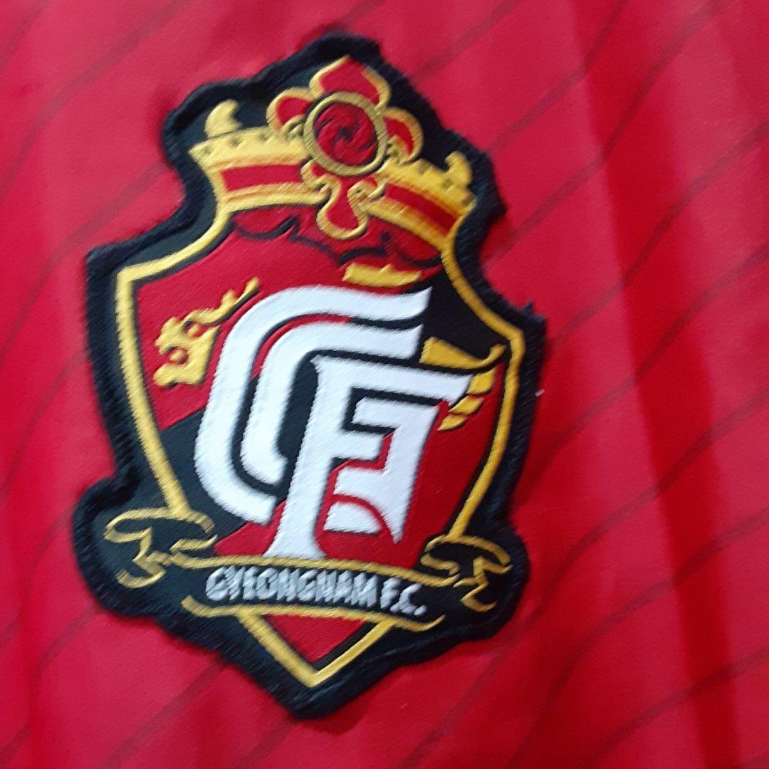 ヒュンメルキョンナムFCトレーニングトップス、Lサイズ