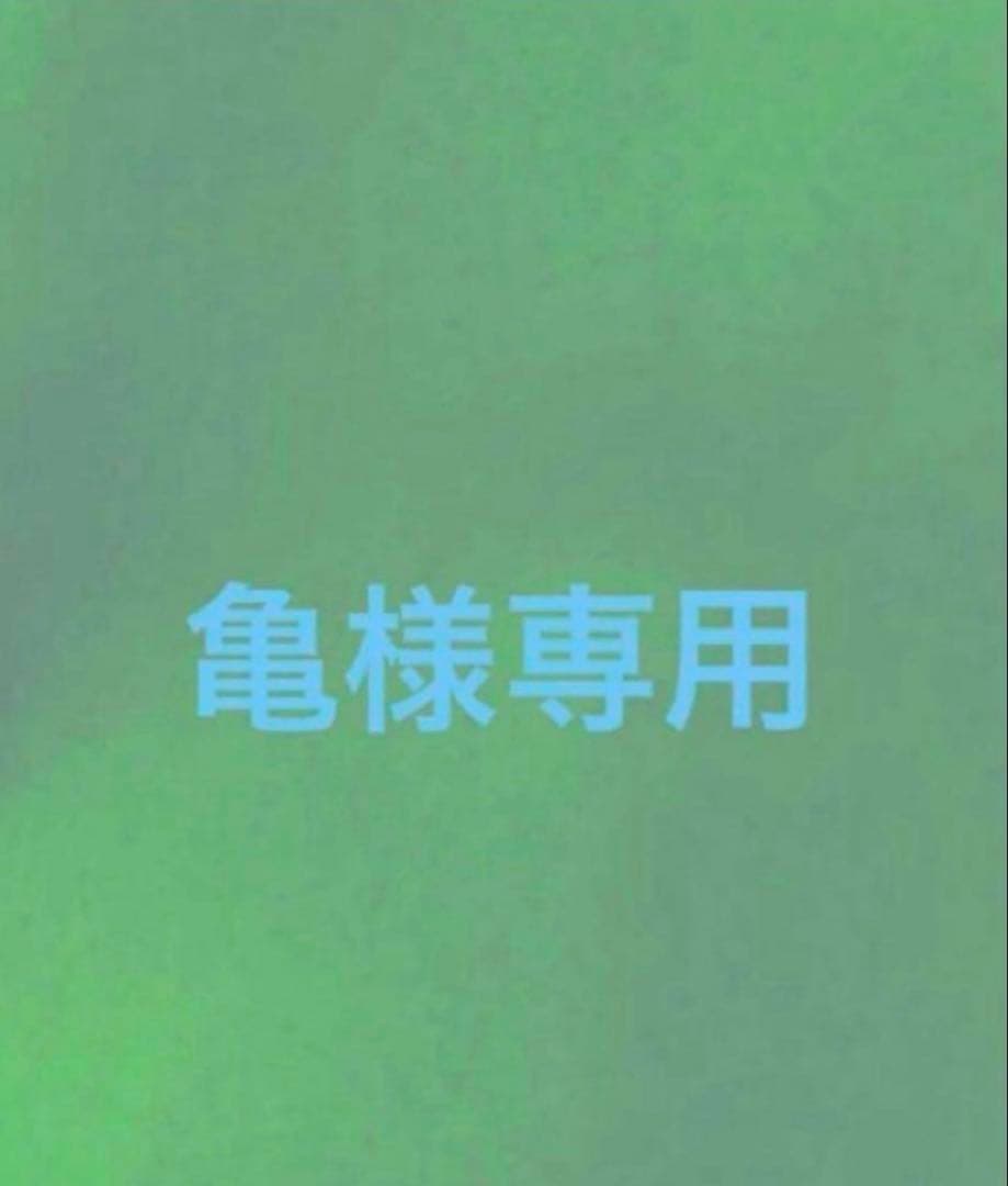 亀ページ