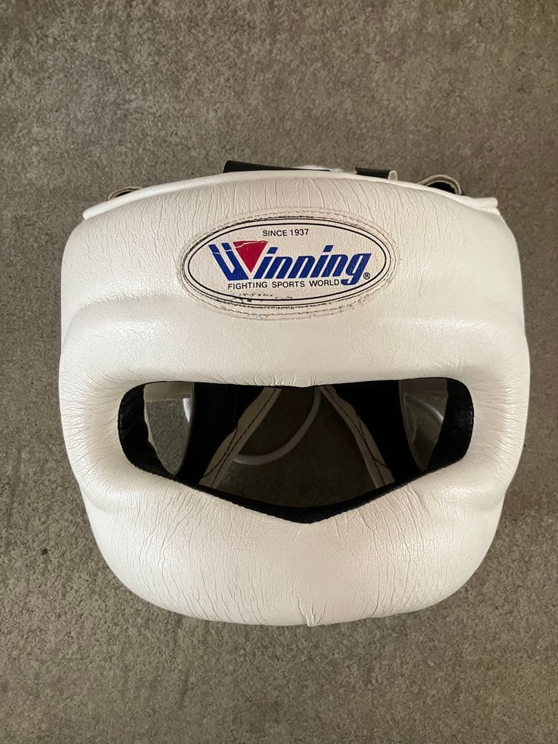 Winning ヘッドギア フルフェイス軽量タイプ　ホワイトM FG-5000