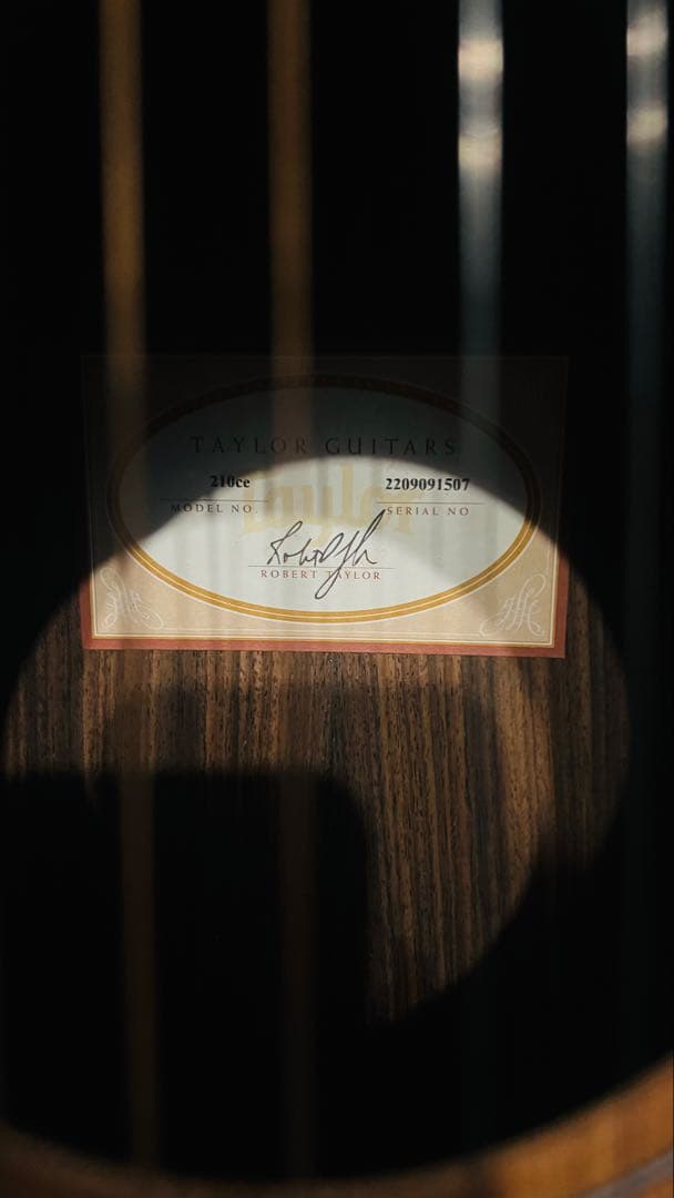 てぃーだまん