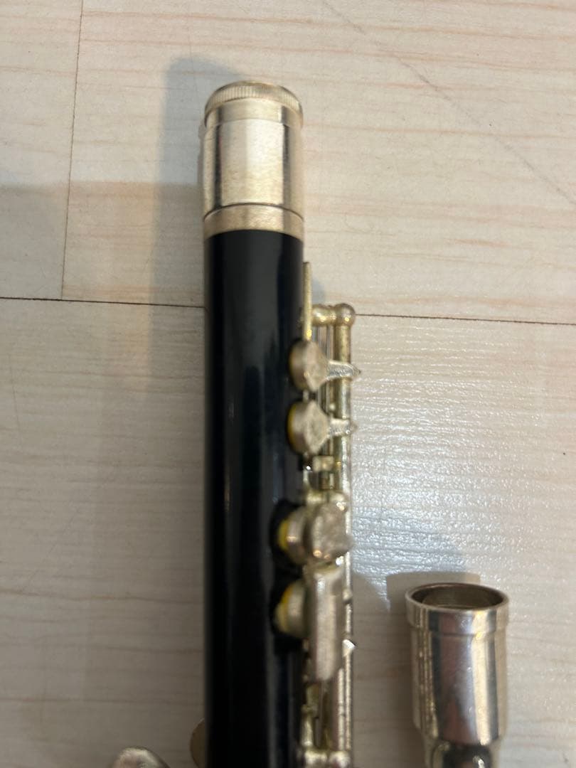 J.Michael Jマイケル ピッコロ