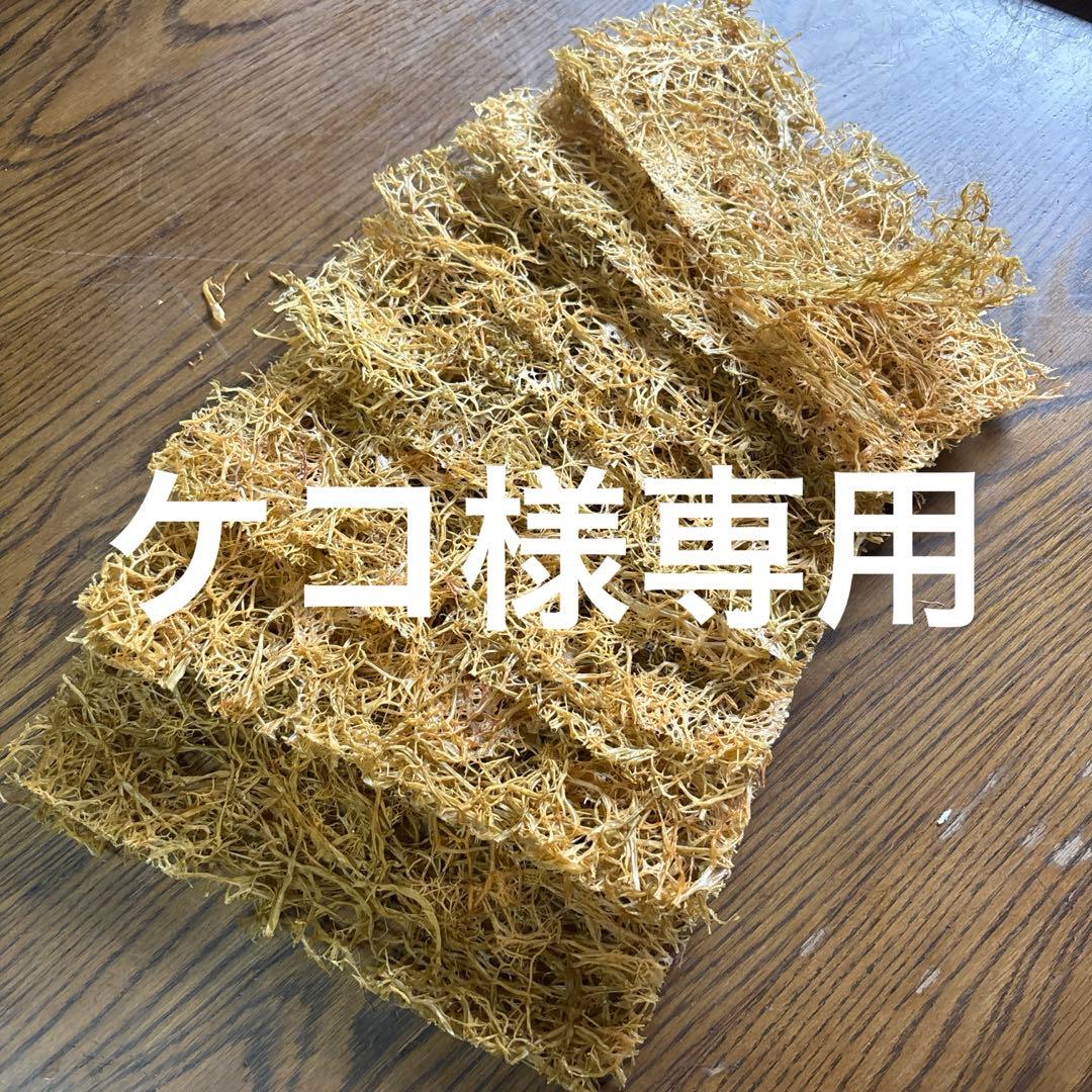 ふのり10枚