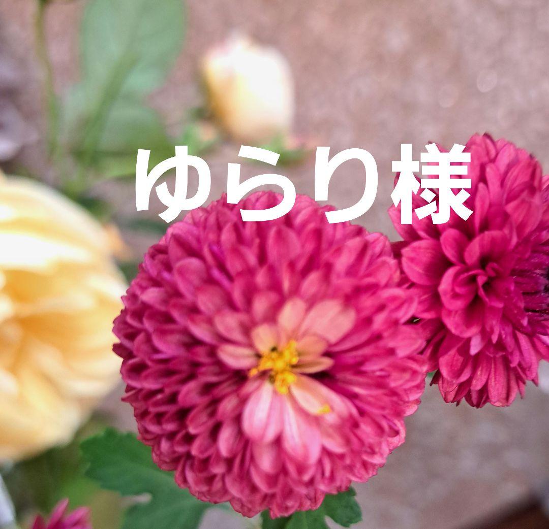 ゆらりです。