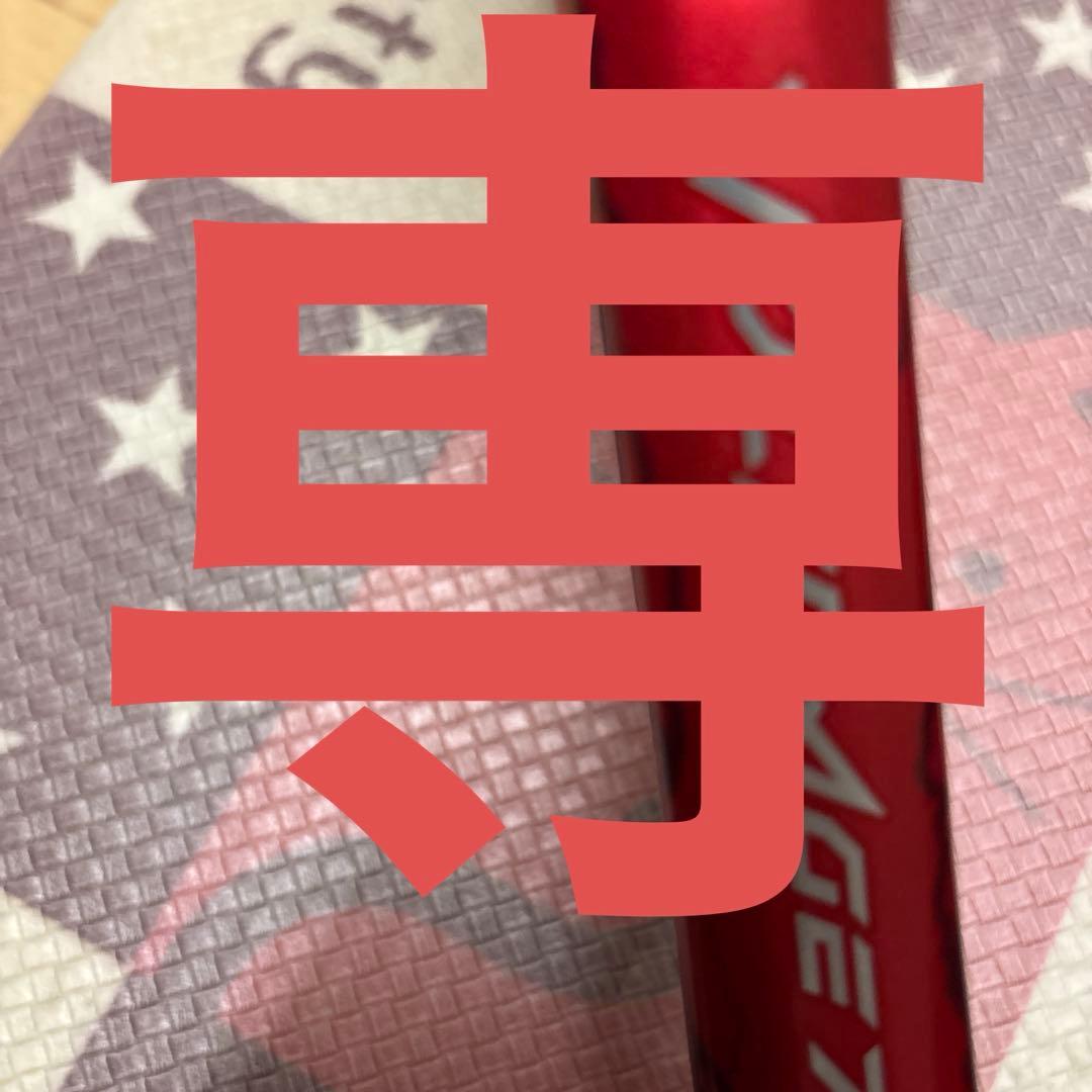 専