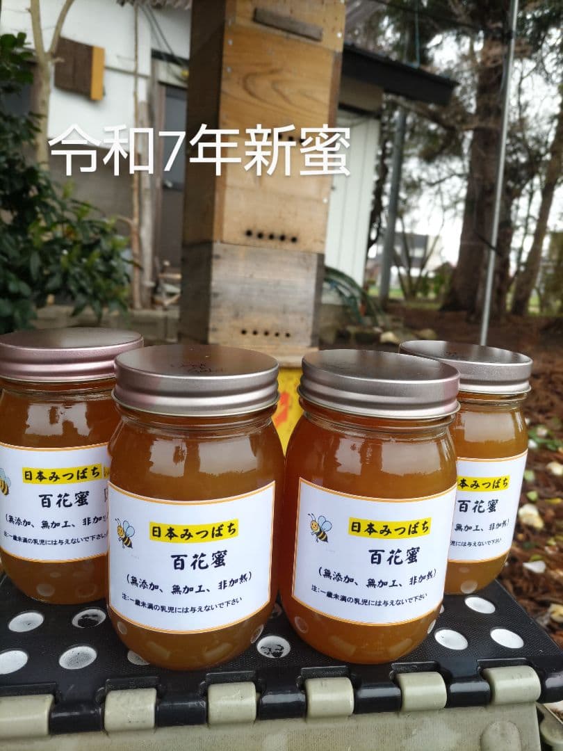 「緑」新蜜　日本ミツバチの百花蜜（1年物）　550ｇ✕4本（2.2Kｇ）