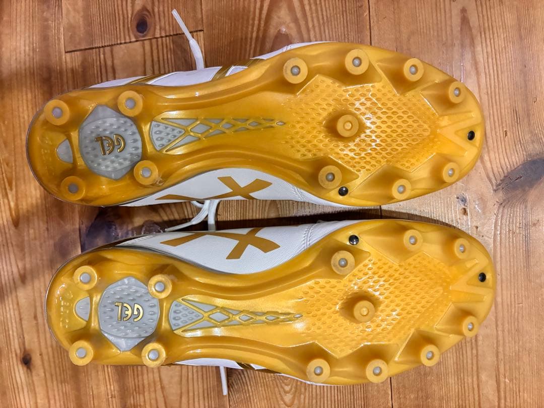 ASICS DS LIGHT ADVANCE　25.0cm