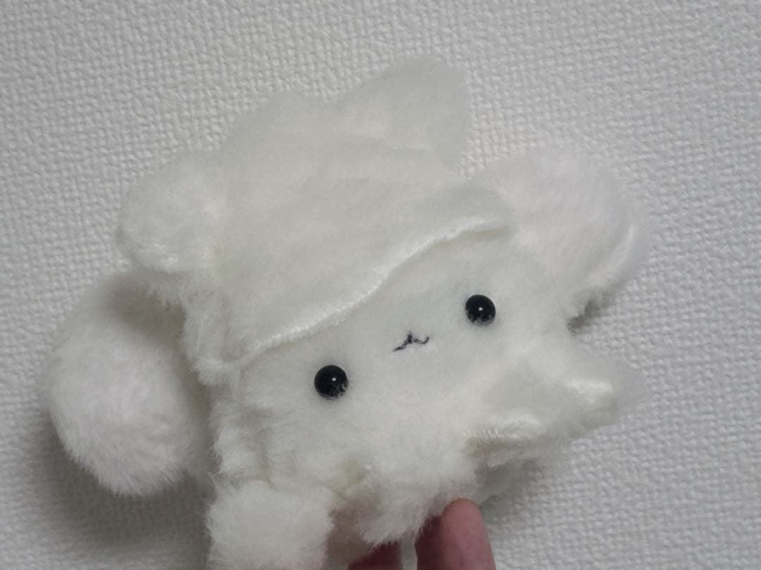 イカタコ天使