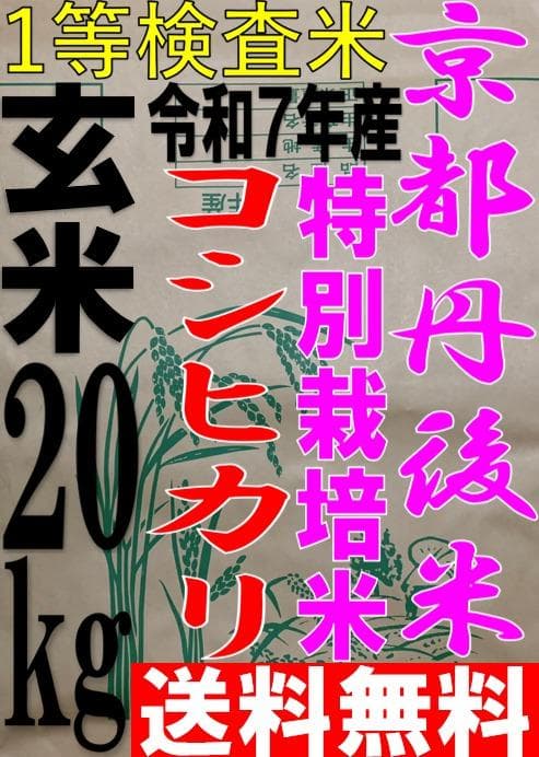 一等検査 特別栽培米 玄米 令和7年産 京都 丹後 コシヒカリ 20kg