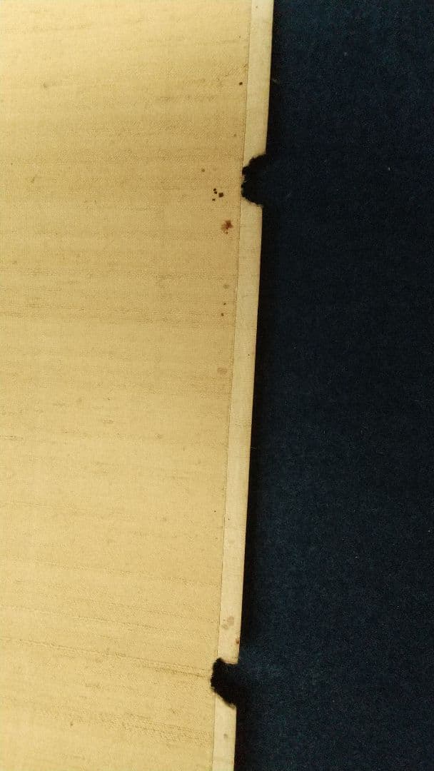 宋紫石　人物画　絹本掛軸　真贋不明