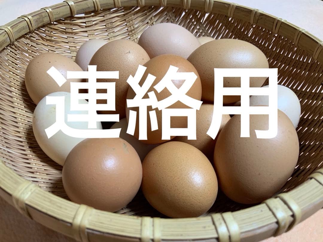 ［連絡用］鶏の卵