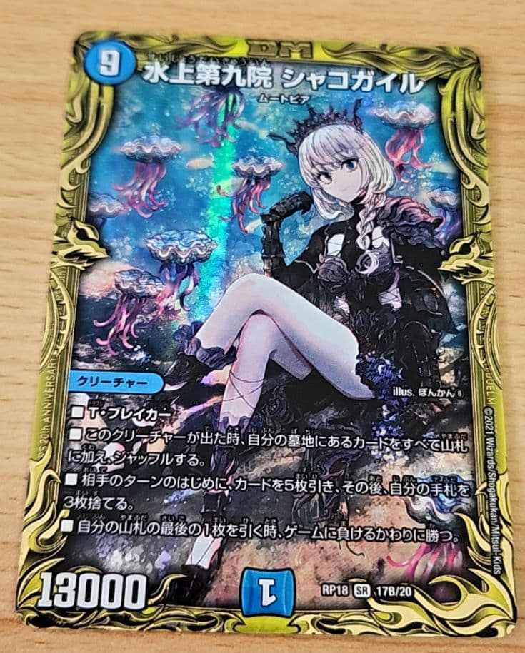 シャコガイルb