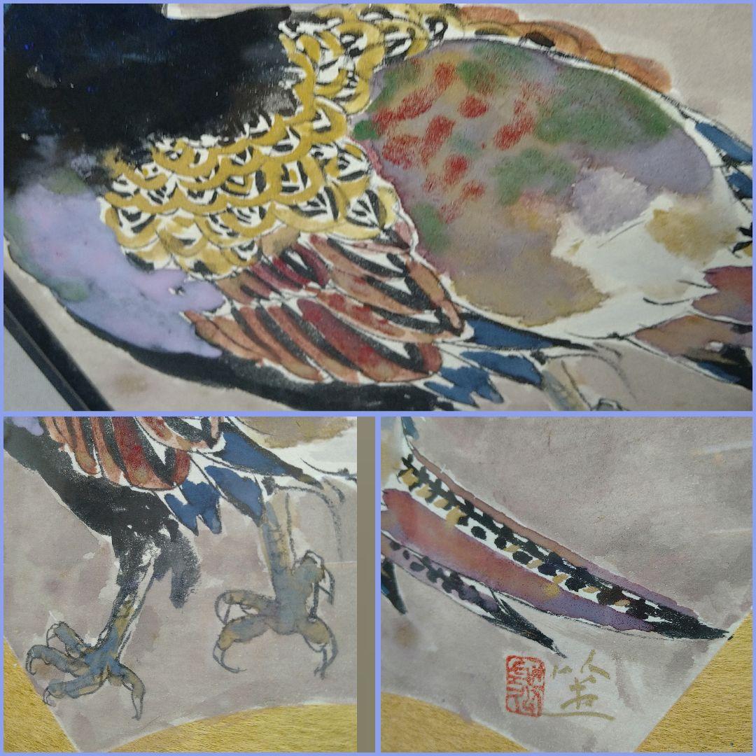 AC43【真作】斎藤清策 雉 色紙額 扇面図 日本画 鳥 タトウ黄布 美品