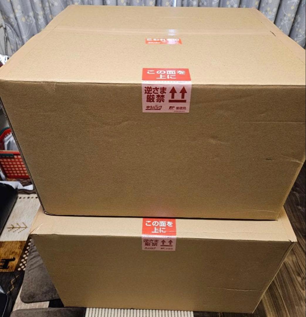 【入手困難】 北斗の拳 ラオウ＆黒王号 スパイスシード 新品