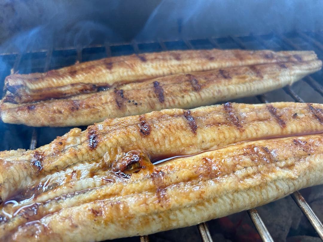 【国産うなぎ】大サイズ140g -170g　三河一色産　6尾セット　炭火焼き鰻