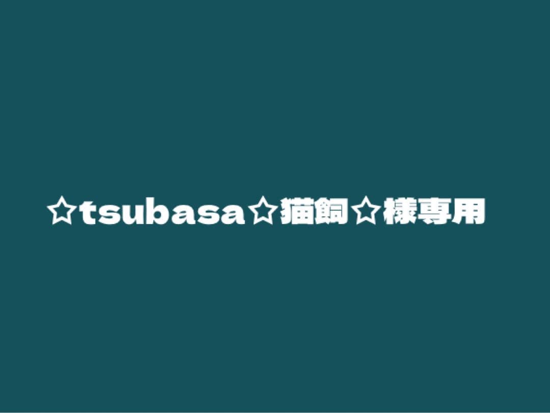 ☆tsubasa☆猫飼☆