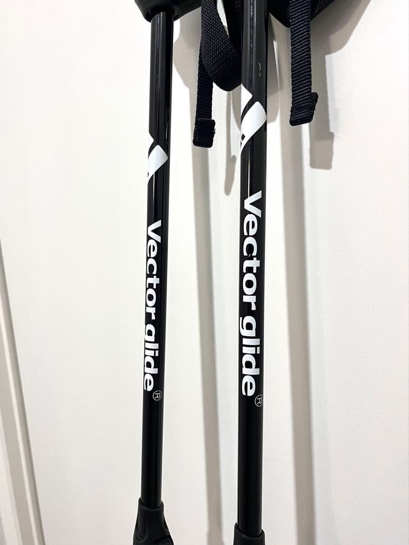 VECTOR GLIDE V STICK スキーポール