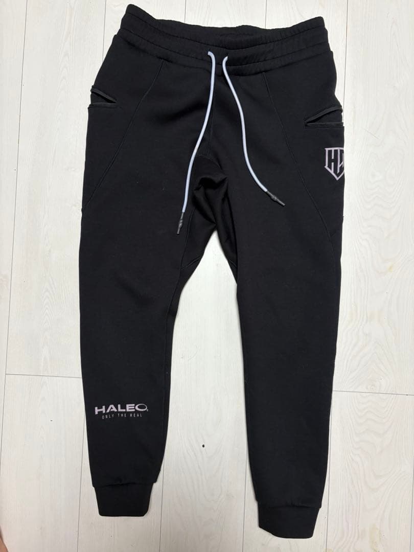 ハレオ　セットアップ　日本産　レア　Lサイズ