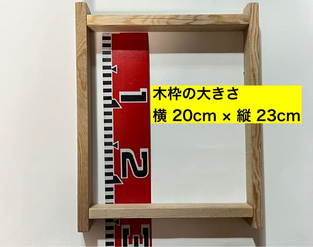 【送料無料】こなん　新物はばのり20枚