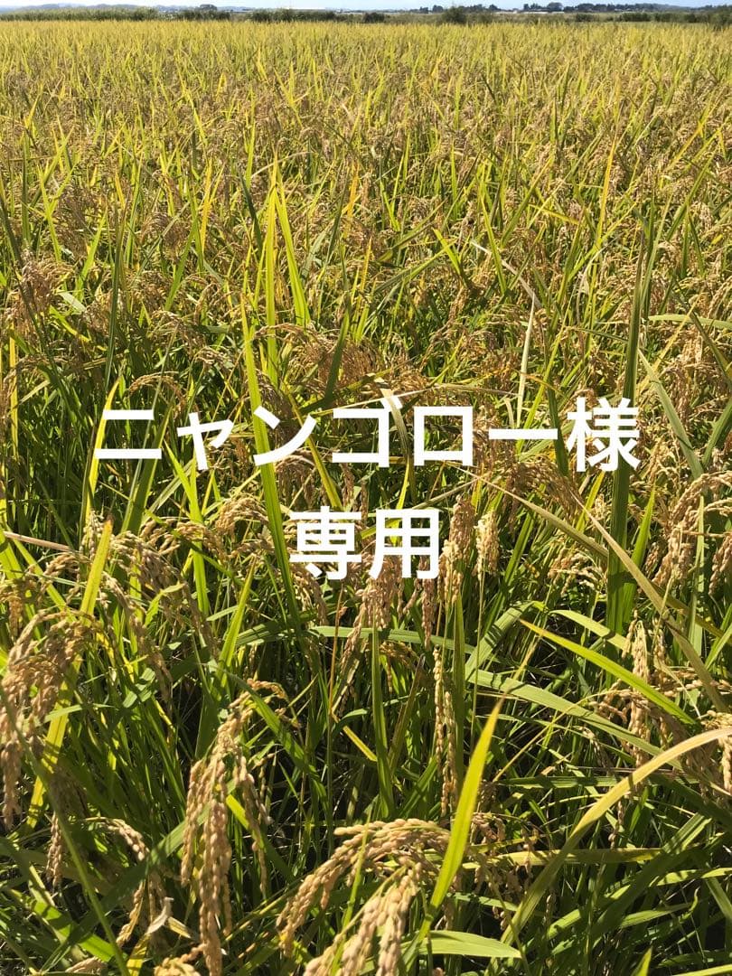ニャンゴロー
