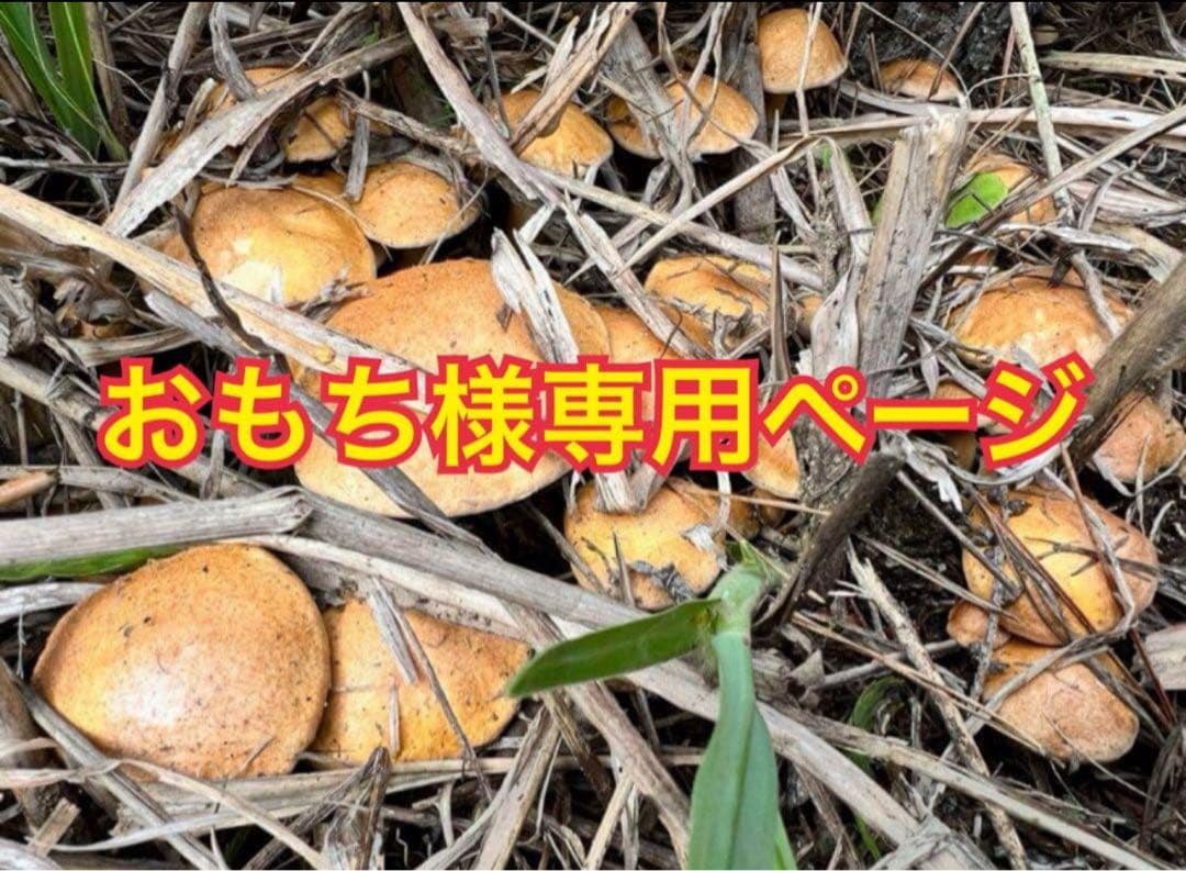 おもちページ