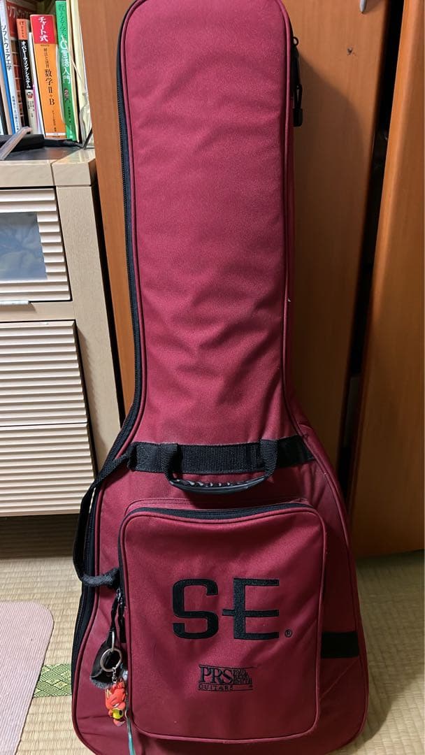 ギター PRS SE Santana