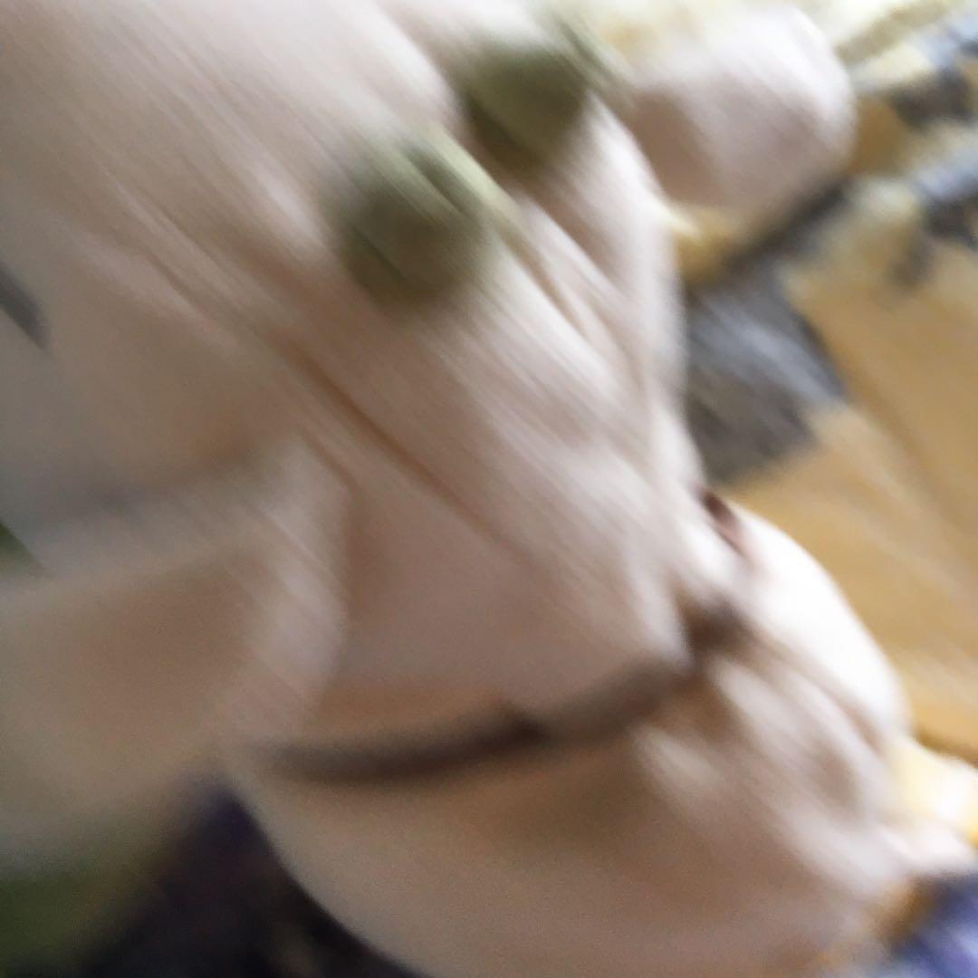 山羊