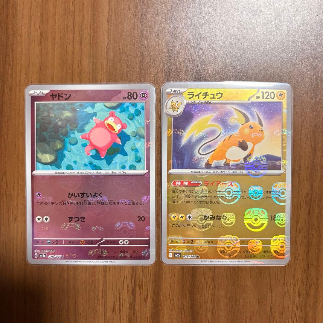 ヤドン　ライチュウ　マスターボール柄　2点セット