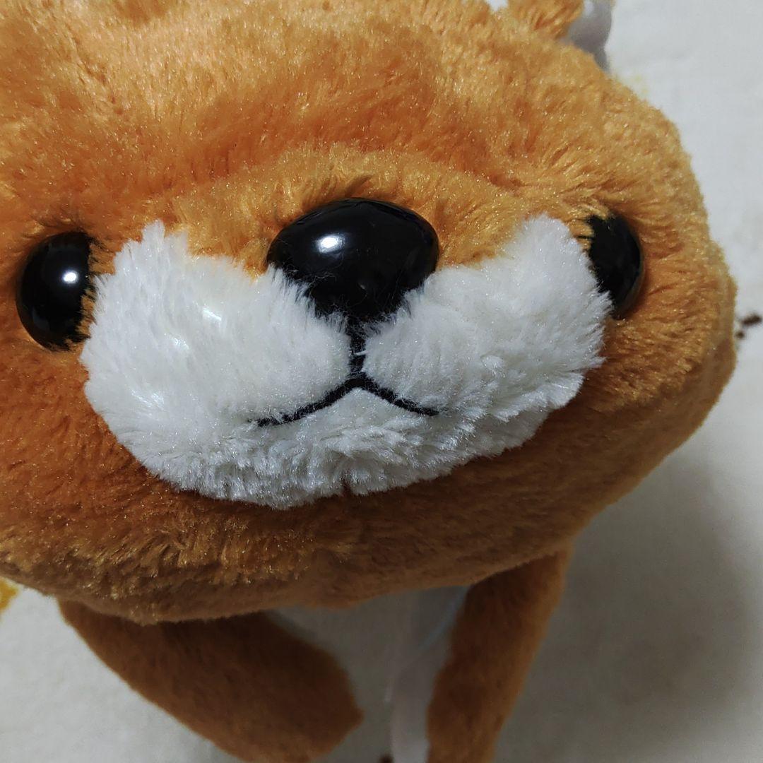 犬
