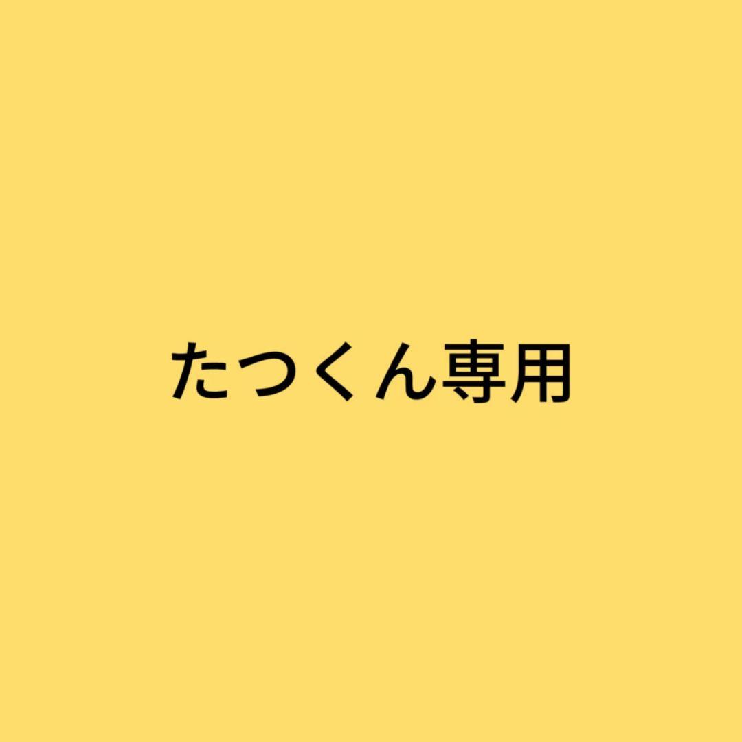 たつくん専用 ぬいぐるみ 13体セット