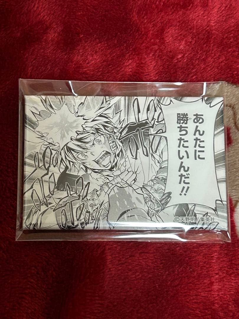 家庭教師ヒットマンREBORN 天野明展 キャラバッジ 沢田綱吉