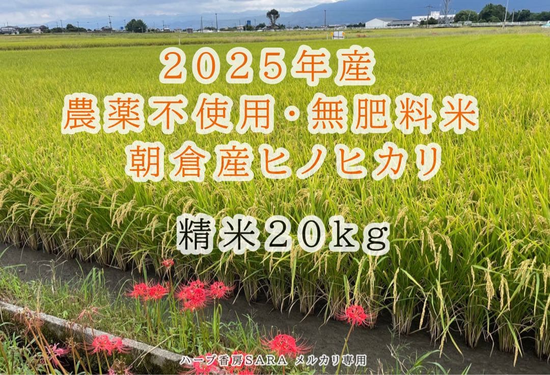 2025年産！九州・福岡県朝倉市産ヒノヒカリ精米20キロ(農薬不使用・無肥料米)