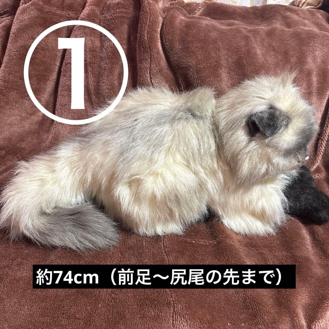【大量】寝そべりたくさん猫＋αぬいぐるみセット【まとめ売り】