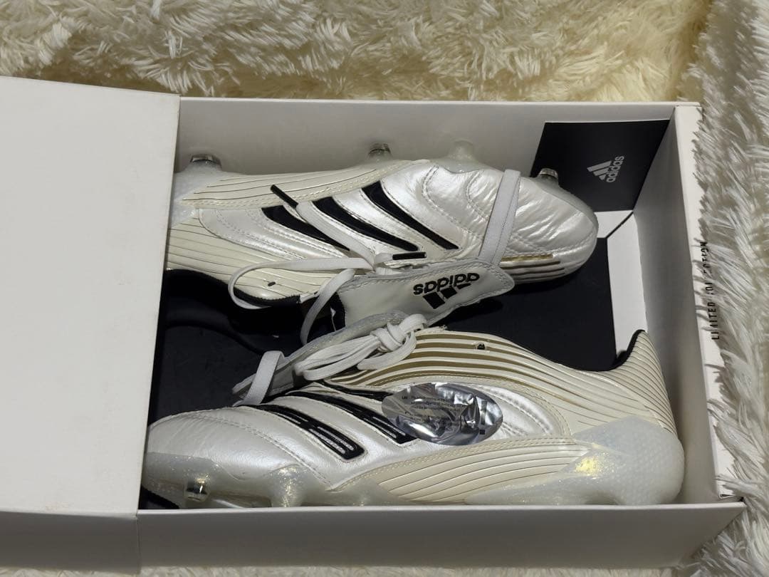 adidas プレデター アブソリュート 20 FG 29cm