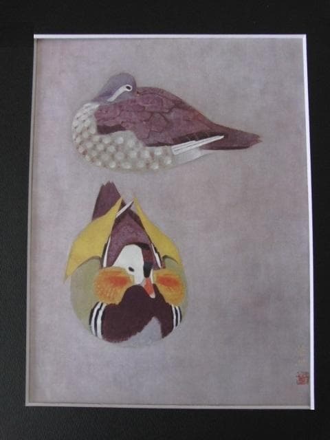 山口華楊、【鴛鴦】、希少な大判額装用画集より、豪華限定版、新品額装付