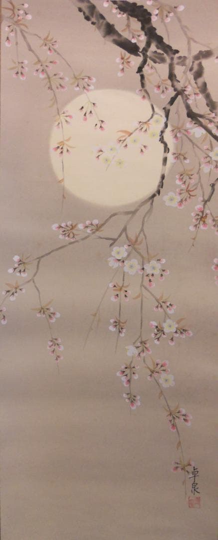 掛け軸 卓泉 夜桜 絹本 希少 軸装 茶道具 掛軸 美品 です。