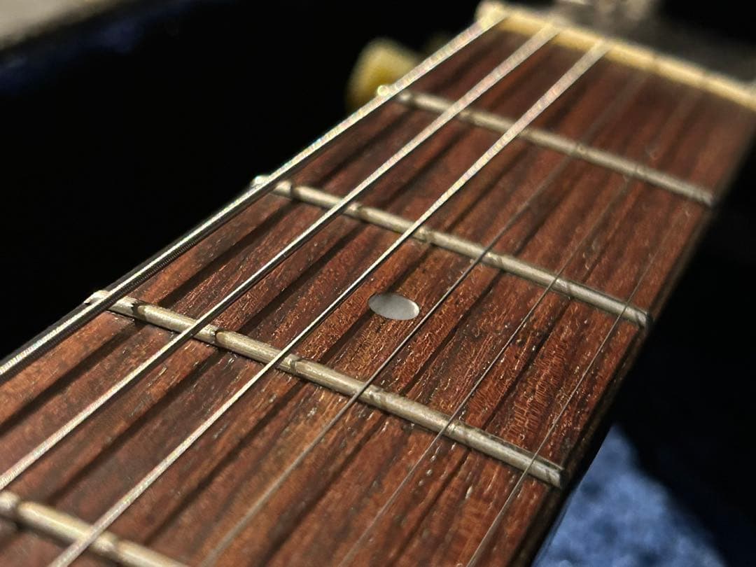 ギター Larrivee RS-2
