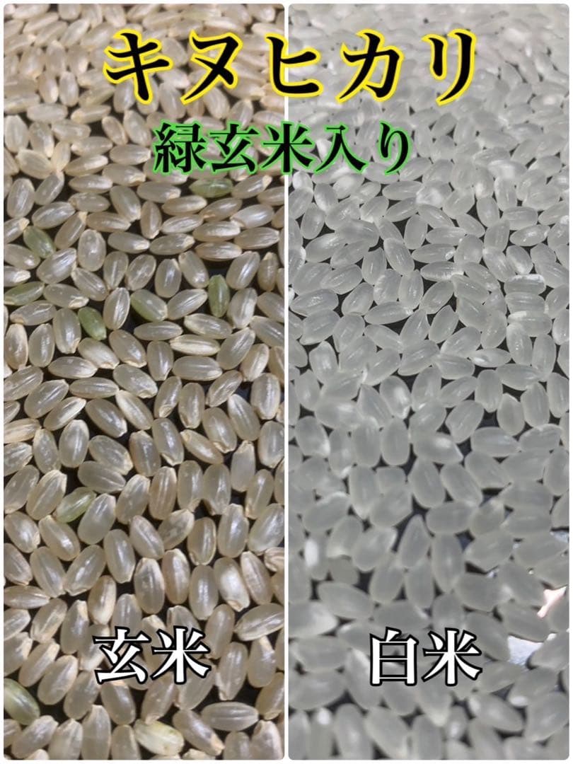 はなびぃ　お取り置き分