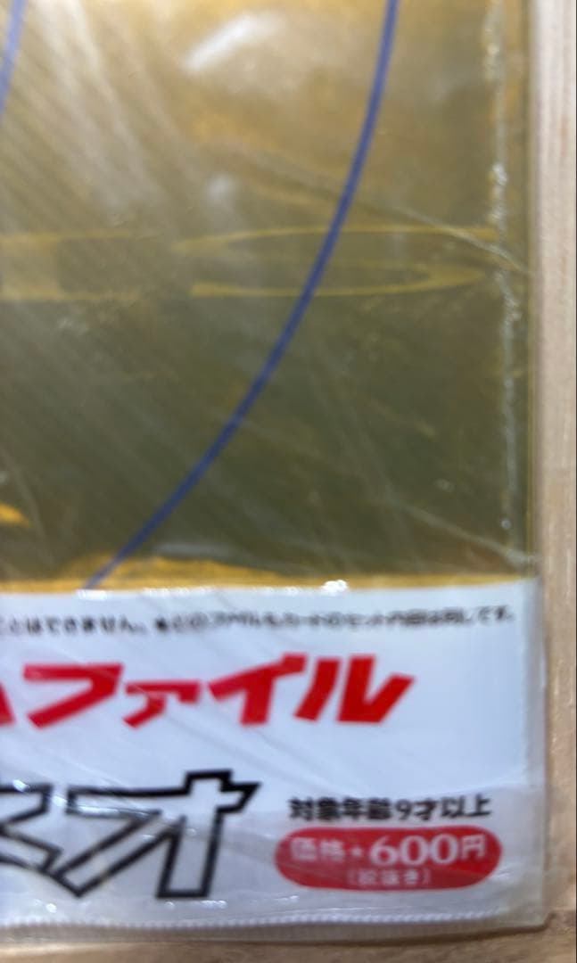 ポケットモンスター金銀発売記念プレミアムファイルポケモンカードネオ　未開封　旧裏