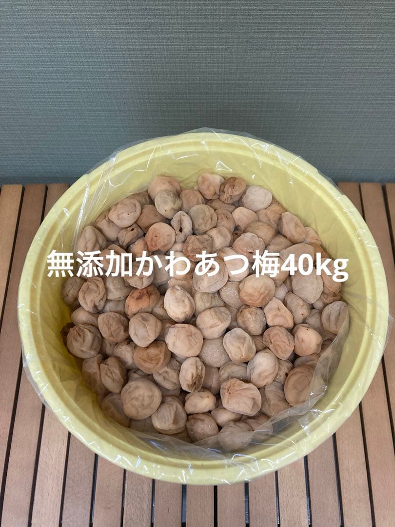 無添加かわあつ梅40kg 白干し
