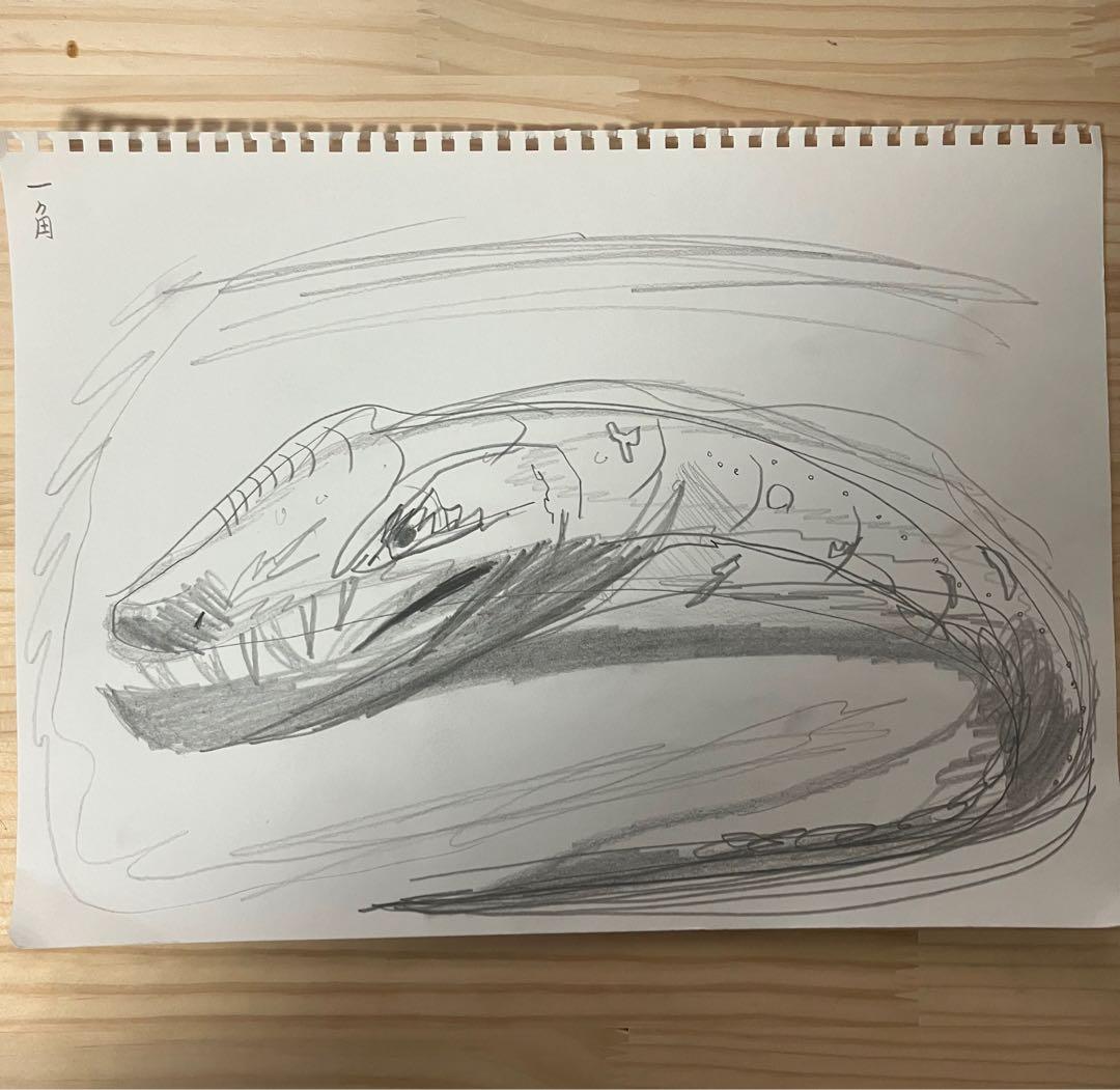 ウツボ