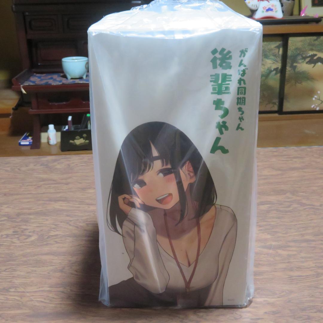 がんばれ 同期ちゃん『後輩ちゃん』 ノンスケール PVC&ABS製