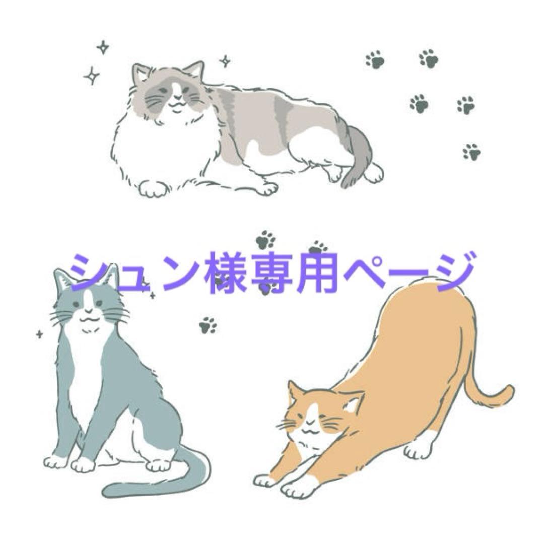 シュンページ