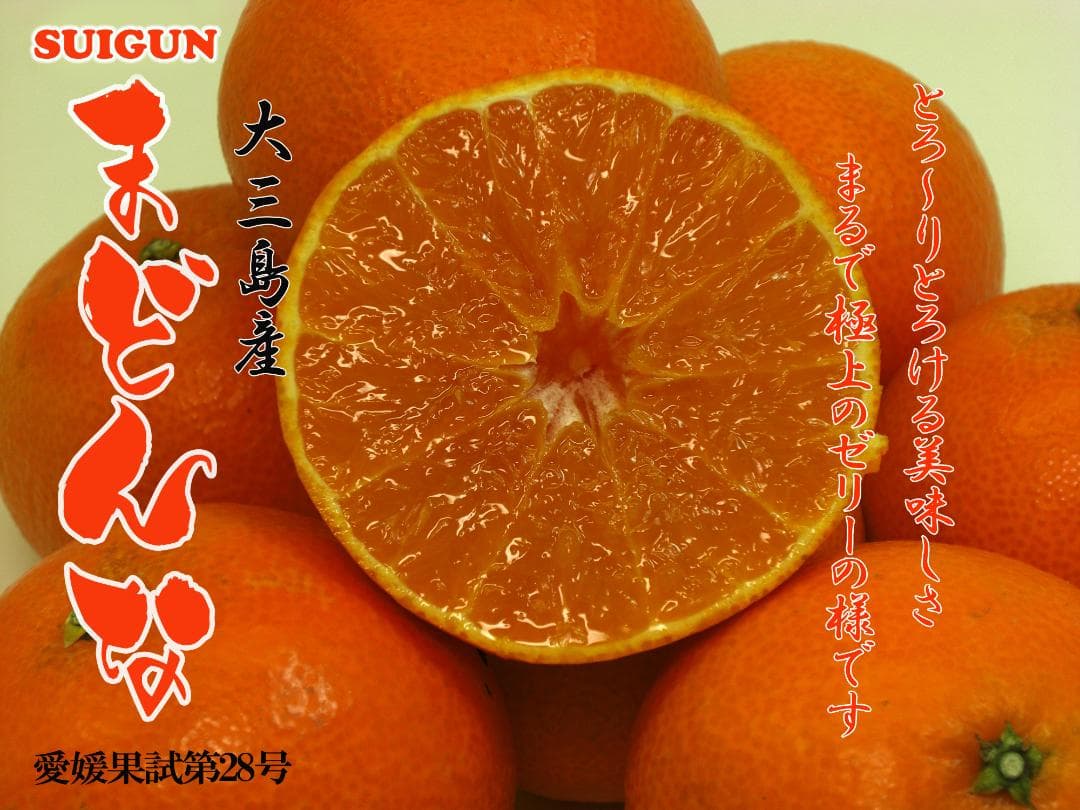 【りょう】SUIGUNマドンナ 4か所お届け　別所送り