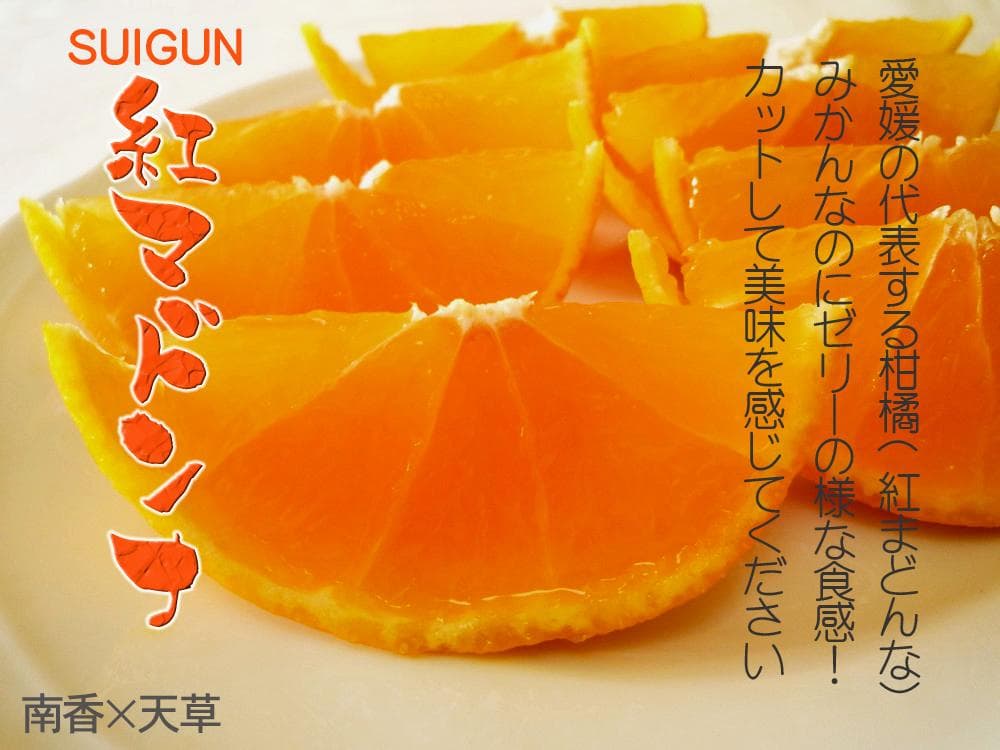【りょう】SUIGUNマドンナ 4か所お届け　別所送り