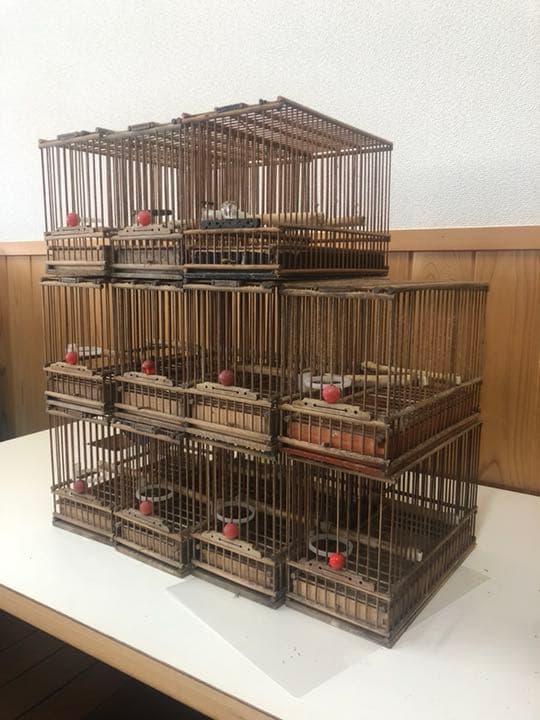 鳥籠